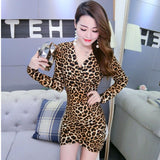Multicolor Sexy V Neck Party Red Leopard Print Cami Long Sleeve Pencil Skinny Club Dress Autumn Night Out Women Dresses S XL